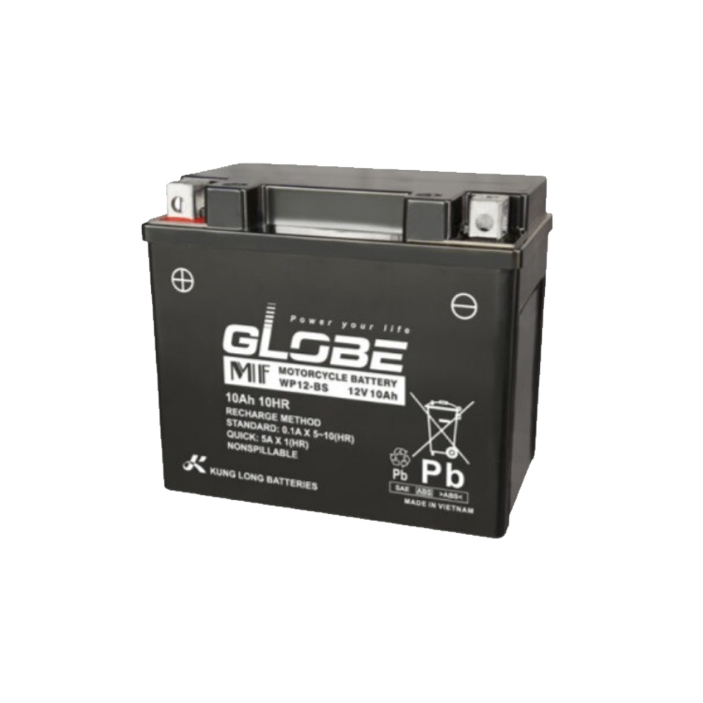 ac-quy-globe-wp12-bs
